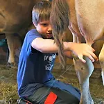 Kinderbauernhof Çiftlik konaklama