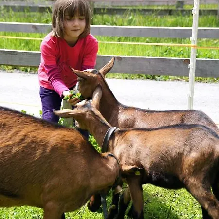 Kinderbauernhof Farm stay Schoppernau