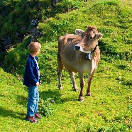 Kinderbauernhof Farm stay