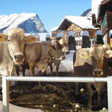Kinderbauernhof Farm stay Schoppernau