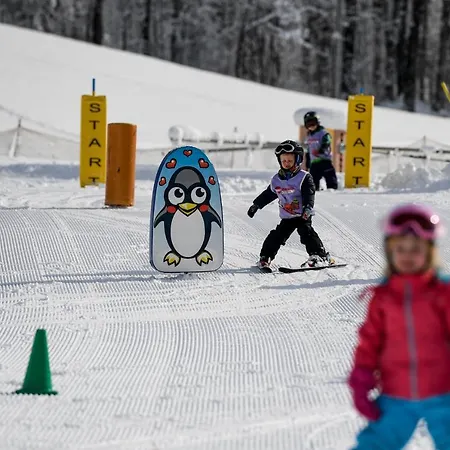 Alloggio per agriturismo Kinderbauernhof Schoppernau
